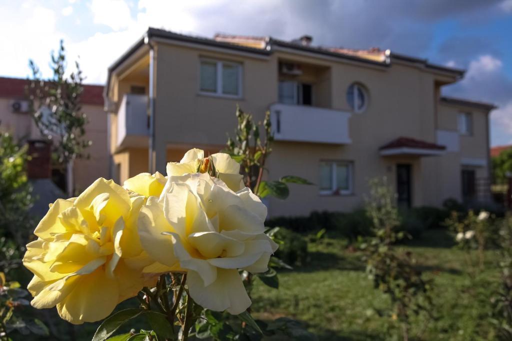 Apartments Emma Biograd Na Moru Eksteriør billede